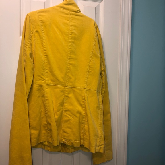 Yellow jacket - Picture 2 of 2